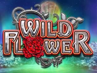 Wild Flower thumbnail