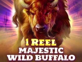 1 Reel - Majestic Wild Buffalo thumbnail